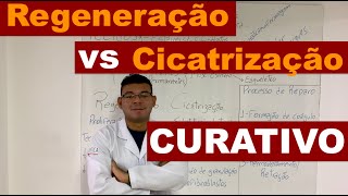 Regeneração VS Cicatrização  Curativo [upl. by Erma]