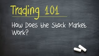 Trading 101 How Does the Stock Market Work [upl. by Nillok]