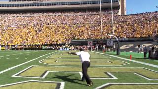 CUBoulder Mascot Ralphie Running [upl. by Nadiya]