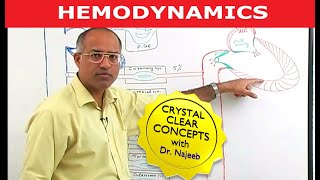 Hemodynamics  Circulatory System Physiology [upl. by Nnaitak]