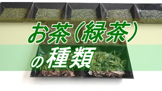 【お茶の種類】8種の緑茶の種類を徹底解説 [upl. by Audras406]