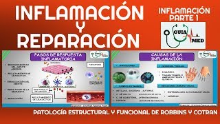 INFLAMACIÓN AGUDA Y CRÓNICA PATOLOGÍA ROBBINS  GuiaMed [upl. by Edana759]