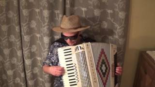 Best Accordion Music [upl. by Havener]