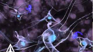 How Neurotransmission amp brain signals work  3D animation [upl. by Otinauj122]