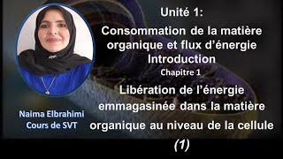 Cours SVT 2 Bac Biof Unité 1  Consommation de la matière organique et flux d’énergie partie 1 [upl. by Edelsten420]