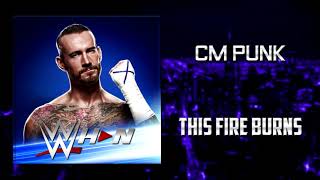 CM Punk  This Fire Burns  AE Arena Effects [upl. by Ahsinav]