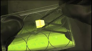 Constructing a perovskite solar cell [upl. by Aylmar]