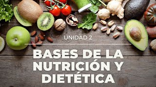 Bases de la nutrición y dietética [upl. by Annij734]