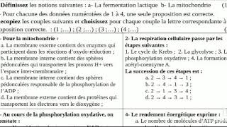 Exercice 1 restitution de connaissances consommation de la matière organique [upl. by Lednar195]