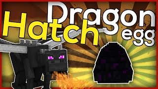 Minecraft How to hatch a dragon egg [upl. by Pleione505]