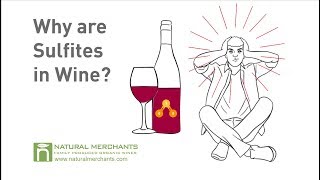 Why are Sulfites in Wine [upl. by Aynotal]