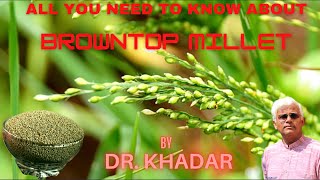 Everything You Need to Know About BROWNTOP MILLET  Dr KHADAR [upl. by Jolee]