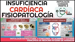 INSUFICIENCIA CARDÍACA FISIOPATOLOGÍA  GuiaMed [upl. by Mckeon499]