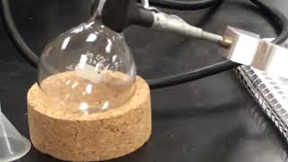 Banana Oil Synthesis of Isoamyl Acetate Part 1 [upl. by Ferree536]