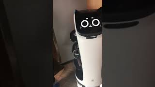 Bellabot advanced version work in restaurant help to delivery food Pudu Robotics [upl. by Ennovyhs]