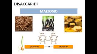 Le biomolecole i carboidrati [upl. by Alastair977]