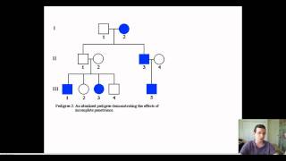 Advanced Pedigree Patterns [upl. by Eanram]