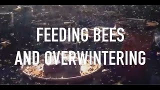 Feeding Bees and Overwintering [upl. by Danna419]