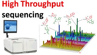 High throughput sequencing [upl. by Zaob]