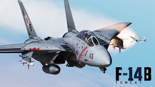 DCS F14  PreOrder  Gameplay Reveal Trailer  OUT NOW [upl. by Jelena]