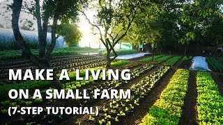 How to Start a Farm From Scratch Beginners Guide to Growing Vegetables for Profit [upl. by Olraced264]