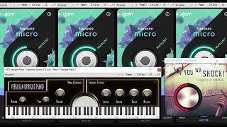 Free VST ujam Finisher Micro and You Wa Shock [upl. by Wende594]