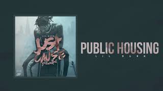 Lil Durk  Public Housing Official Audio [upl. by Rosalinde]