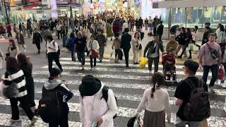 Shibuya Scramble Crossing [upl. by Eisen]