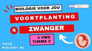 4 vwo  Voortplanting  4  Zwanger [upl. by Saraann]