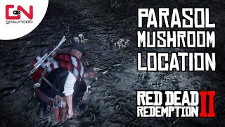 Red Dead Online Parasol Mushroom Location  5 Parasol Mushrooms Picked  Daily Challenge [upl. by Adnwahsat887]