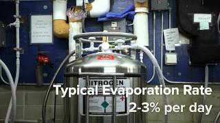 Filling and Maintaining Liquid Nitrogen Tanks [upl. by Lontson]