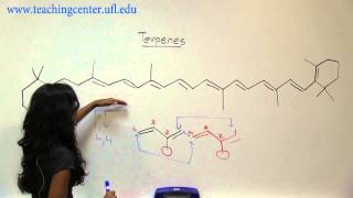 Recognizing Terpenes [upl. by Ettevey238]