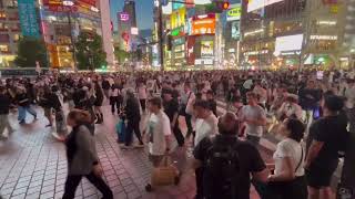 Shibuya Crossing Tokyo [upl. by Attenev]