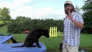 Training Your Labrador Retriever Puppy Part One [upl. by Aracot279]