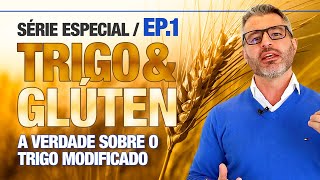 TRIGO e GLÚTEN Pt1  Como o trigo deixou de ser trigo 🌾🍞 [upl. by Hsepid]