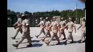 USMC US Marine Corps Marching Cadence [upl. by Cumine]