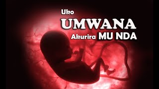 UKO UMWANA AKURIRA MU NDA Umunsi ku munsi Video yuruhinja rutaravukaUMWANA MU NDA [upl. by Nobile]