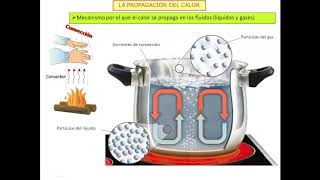 Propagación del calor [upl. by Yesdnil231]