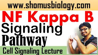 NF kappa B signaling pathway  Short tricks to learn cell signaling pathway [upl. by Micro]