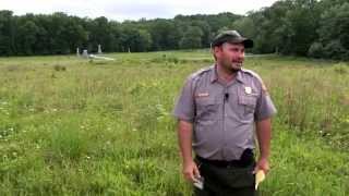 The Wheatfield A Gettysburg Battle Walk  Ranger John Hoptak [upl. by Aidahs]