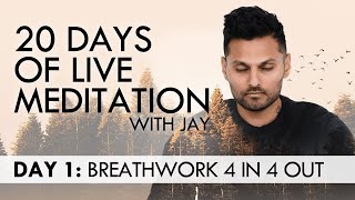 20 Days of Live Meditation with Jay Shetty Day 1 [upl. by Telocin]