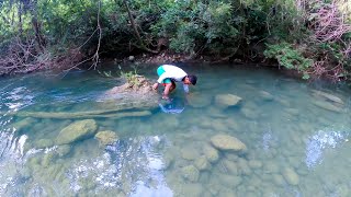 Nuestra Técnica Para Atrapar CANGREJOS De Rio Pesca y Cocina [upl. by Ogata]