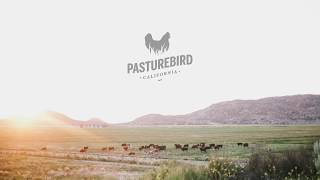 Pasture Raised Chicken Farm in San Diego County CA [upl. by Nivle]