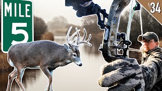 Buck Traveled HOW FAR Bowhunting Public Land Whitetails [upl. by Shetrit]