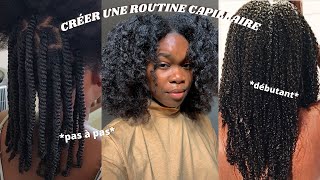 COMMENT CRÉER SA ROUTINE CAPILLAIRE CHEVEUX CRÉPUS  BOUCLÉSFRISÉS [upl. by Nagrom]