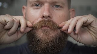 Beard Trim Update 4 Month Beard Growth [upl. by Olsen]