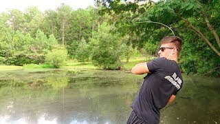 How To Fish Small Ponds  Bass Fishing Tips [upl. by Shaper345]