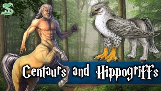 The History Of Centaurs And Hippogriffs Explained [upl. by Perretta715]