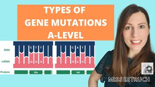 Type of GENE MUTATIONS Alevel Biology Do you know the 6 types of gene mutations [upl. by Sidnal]