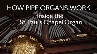 How Pipe Organs Work Inside the St Paul’s Chapel Organ [upl. by Anekahs]